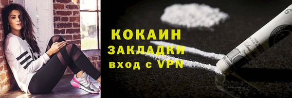 шишки Абинск
