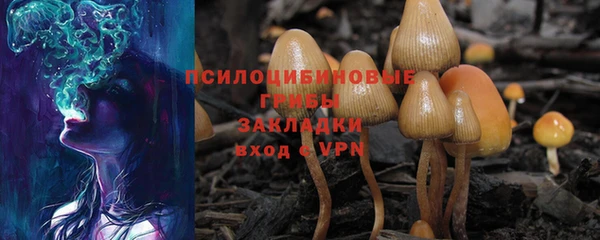 шишки Абинск