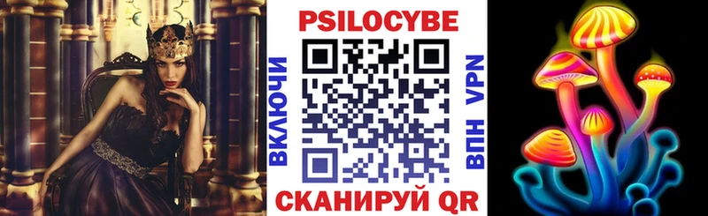 Псилоцибиновые грибы Psilocybe Сусуман