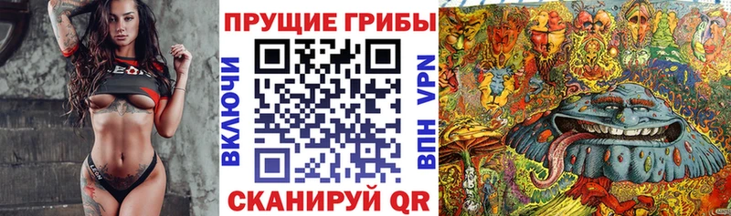 купить закладку Сусуман Галлюциногенные грибы ЛСД